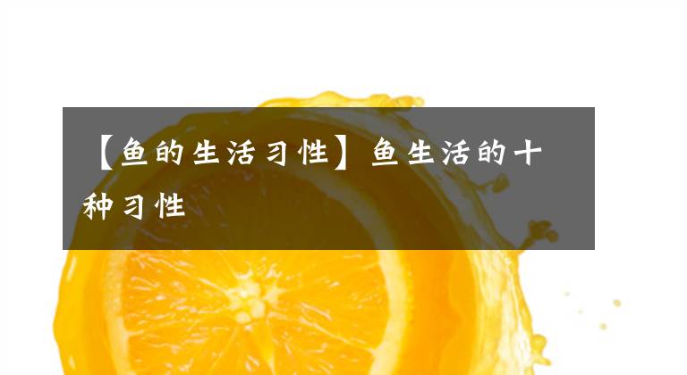 【鱼的生活习性】鱼生活的十种习性