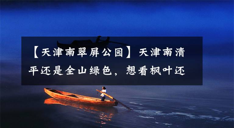【天津南翠屏公园】天津南清平还是全山绿色，想看枫叶还是等着吧。