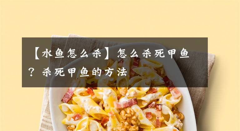 【水鱼怎么杀】怎么杀死甲鱼？杀死甲鱼的方法