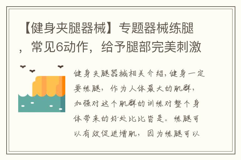 【健身夹腿器械】专题器械练腿，常见6动作，给予腿部完美刺激，练出强壮下肢