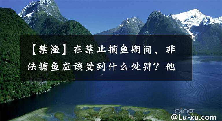 【禁渔】在禁止捕鱼期间，非法捕鱼应该受到什么处罚？他们明确地说