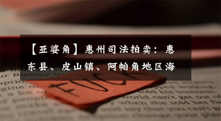 【亚婆角】惠州司法拍卖：惠东县、皮山镇、阿帕角地区海都浦院33号楼2段20楼06号房。