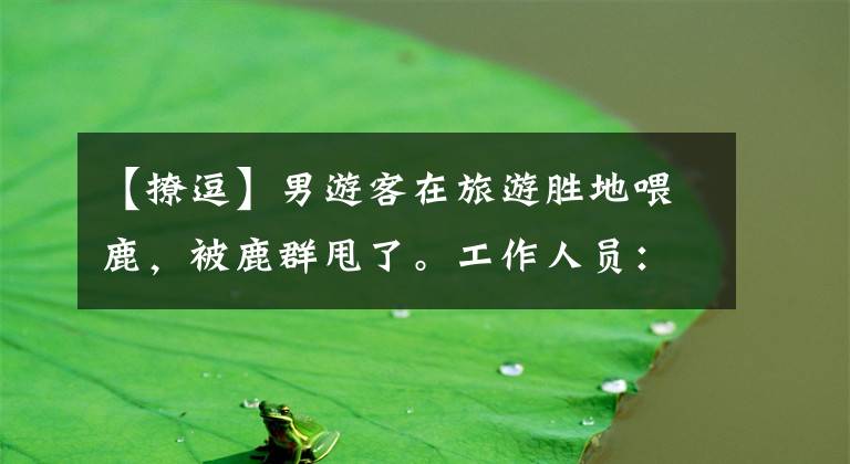 【撩逗】男游客在旅游胜地喂鹿，被鹿群甩了。工作人员：正在发情期，建议不要取笑。