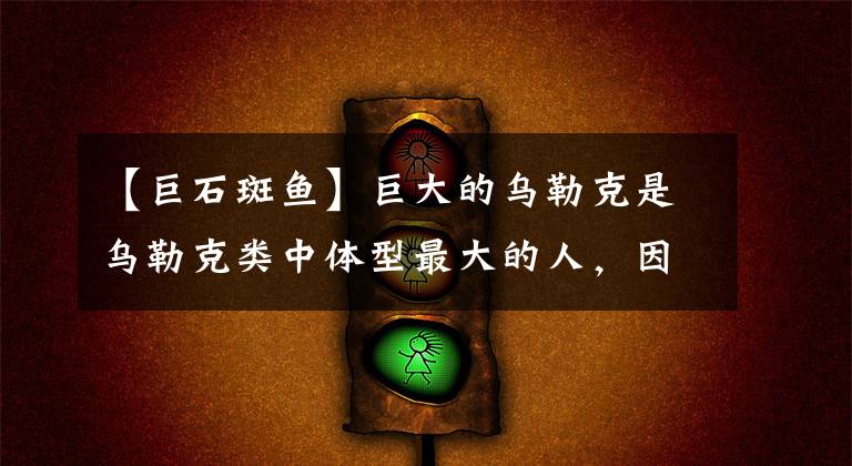 【巨石斑鱼】巨大的乌勒克是乌勒克类中体型最大的人，因此被称为“乌勒克之王”