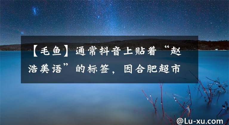 【毛鱼】通常抖音上贴着“赵浩美语”的标签，因合肥超市的虚假宣传被罚了2万韩元。