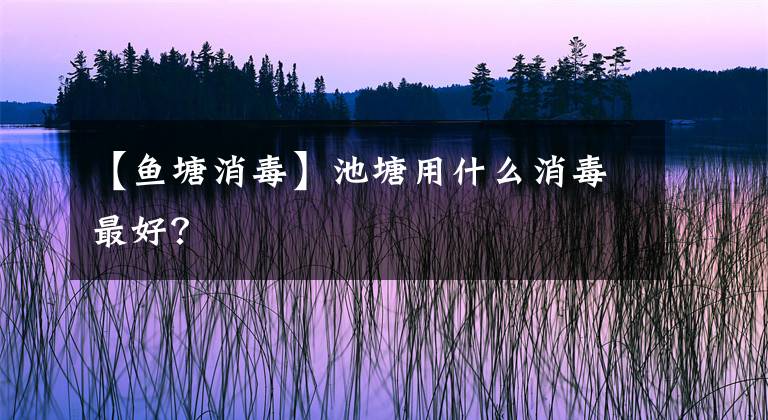 【鱼塘消毒】池塘用什么消毒最好？