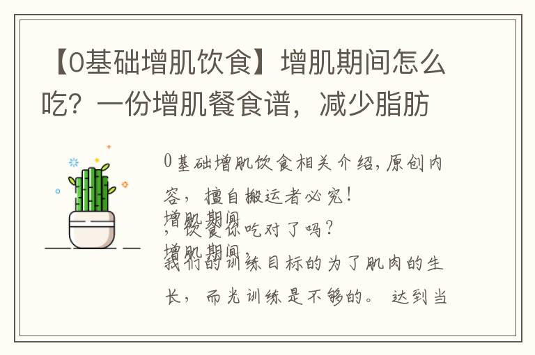 【0基础增肌饮食】增肌期间怎么吃？一份增肌餐食谱，减少脂肪囤积，促进肌肉生长