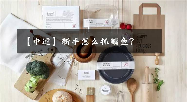 【中逵】新手怎么抓鲭鱼？
