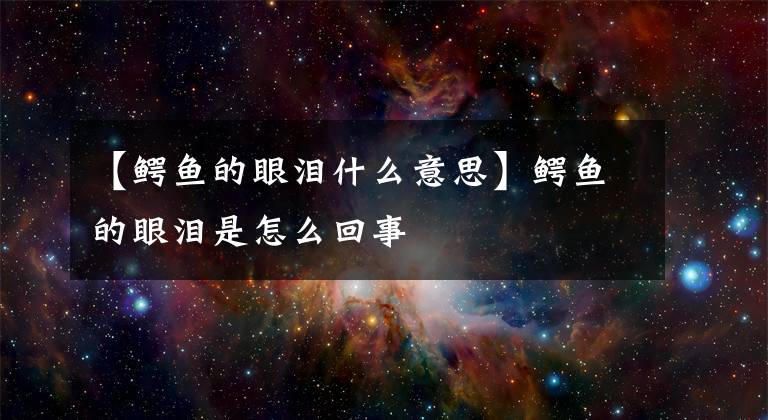 【鳄鱼的眼泪什么意思】鳄鱼的眼泪是怎么回事