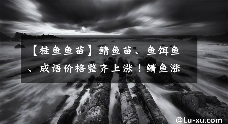 【桂鱼鱼苗】鲭鱼苗、鱼饵鱼、成语价格整齐上涨！鲭鱼涨价潮还能持续多久？