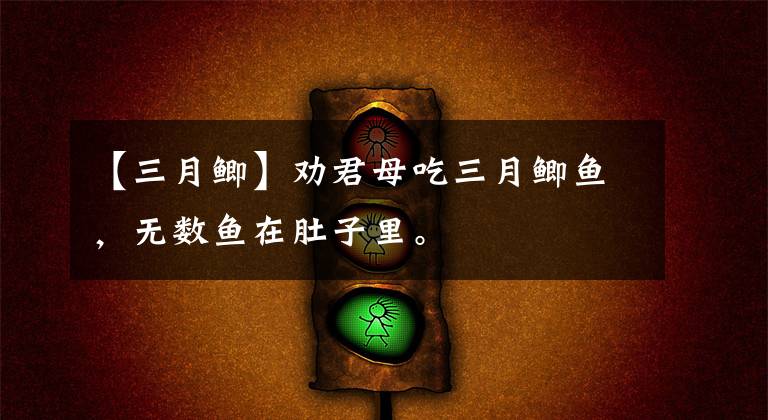 【三月鲫】劝君母吃三月鲫鱼，无数鱼在肚子里。