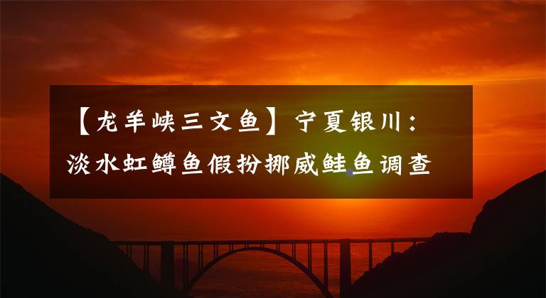 【龙羊峡三文鱼】宁夏银川：淡水虹鳟鱼假扮挪威鲑鱼调查