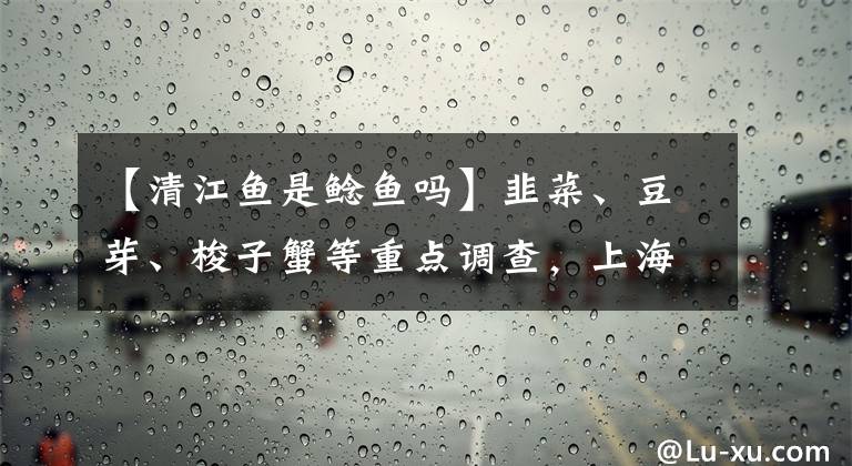 【清江鱼是鲶鱼吗】韭菜、豆芽、梭子蟹等重点调查，上海正在实施食用农产品专项整治