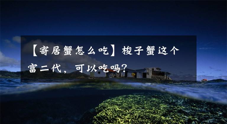 【寄居蟹怎么吃】梭子蟹这个富二代，可以吃吗？