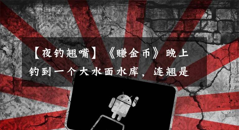 【夜钓翘嘴】《赚金币》晚上钓到一个大水面水库，连翘是怎么钓到的？