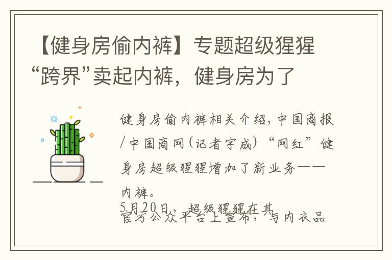 【健身房偷内裤】专题超级猩猩“跨界”卖起内裤，健身房为了盈利有多拼