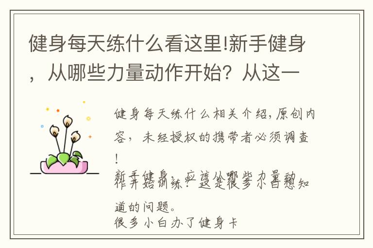 健身每天练什么看这里!新手健身，从哪些力量动作开始？从这一组黄金健身动作开始