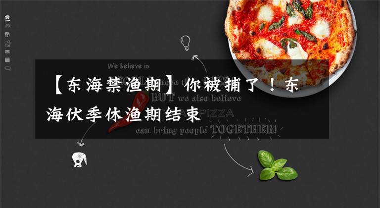 【东海禁渔期】你被捕了！东海伏季休渔期结束