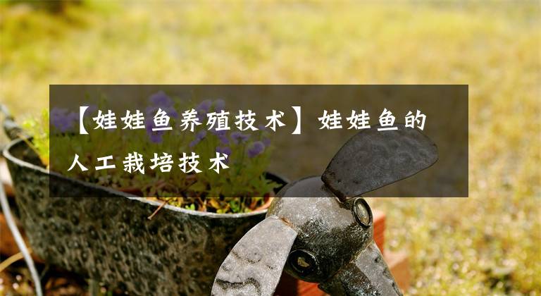 【娃娃鱼养殖技术】娃娃鱼的人工栽培技术