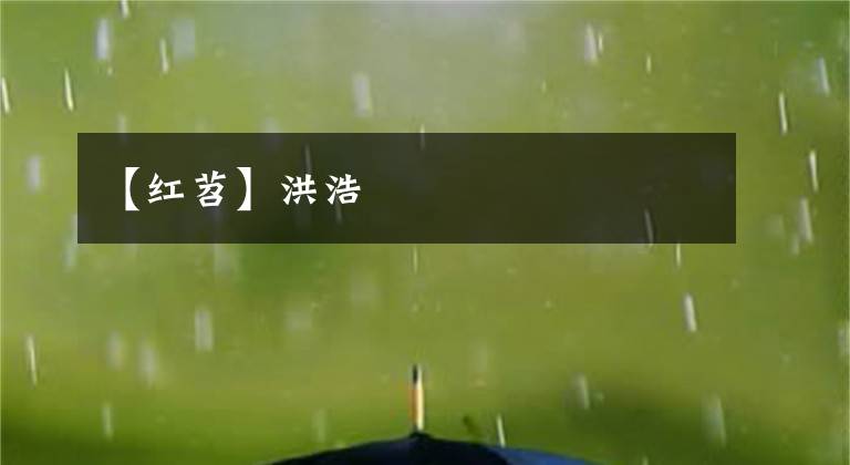 【红苕】洪浩