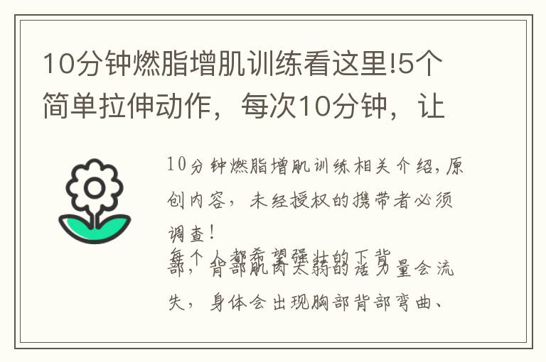 10分钟燃脂增肌训练看这里!5个简单拉伸动作，每次10分钟，让腰酸背痛远离你
