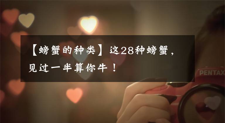 【螃蟹的种类】这28种螃蟹，见过一半算你牛！