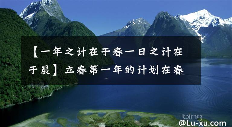【一年之计在于春一日之计在于晨】立春第一年的计划在春天。