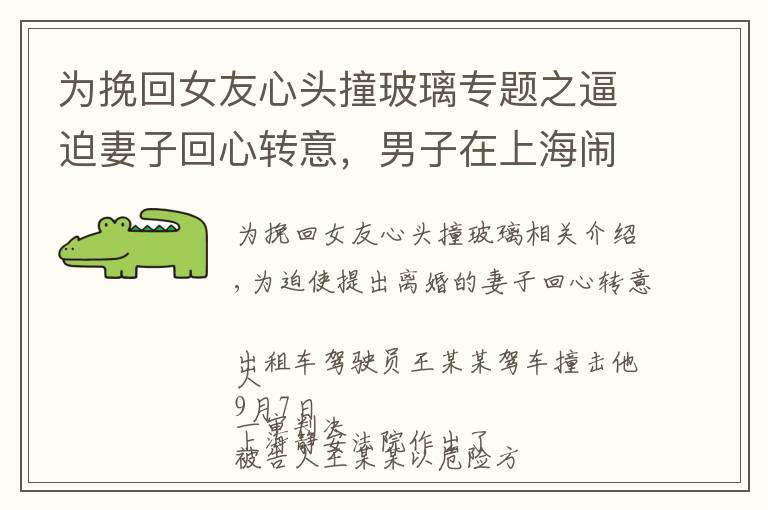 为挽回女友心头撞玻璃专题之逼迫妻子回心转意，男子在上海闹市区驾车撞人又撞门！法院判了