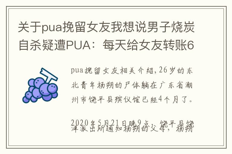 关于pua挽留女友我想说男子烧炭自杀疑遭PUA：每天给女友转账666元，不转会被罚