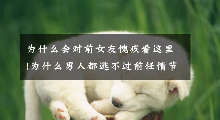 为什么会对前女友愧疚看这里!为什么男人都逃不过前任情节？