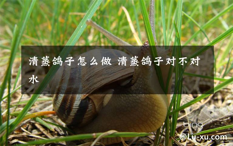 清蒸鸽子怎么做 清蒸鸽子对不对水