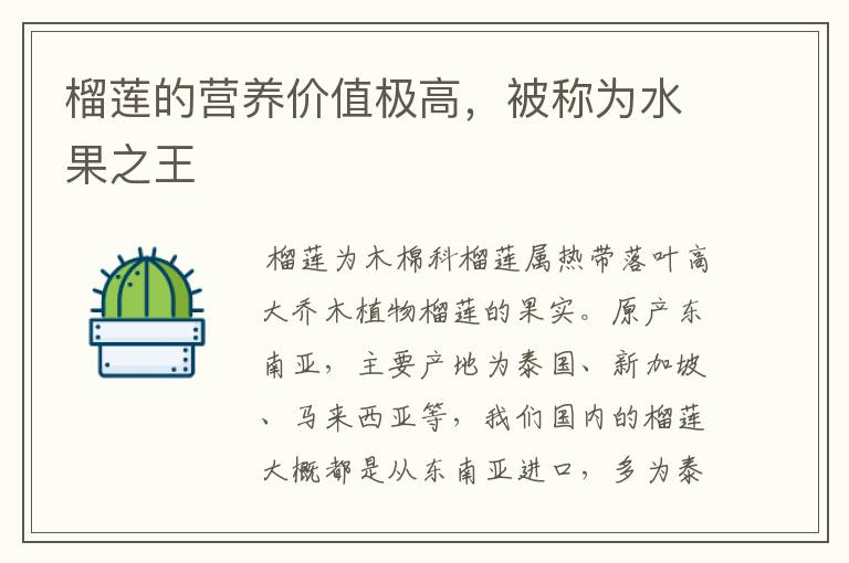 榴莲的营养价值极高，被称为水果之王