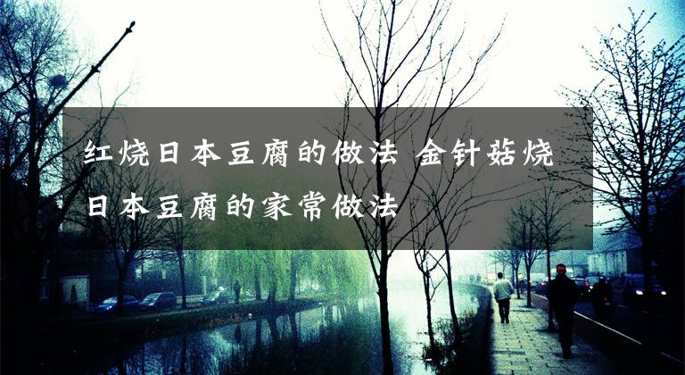 红烧日本豆腐的做法 金针菇烧日本豆腐的家常做法