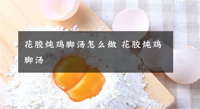 花胶炖鸡脚汤怎么做 花胶炖鸡脚汤