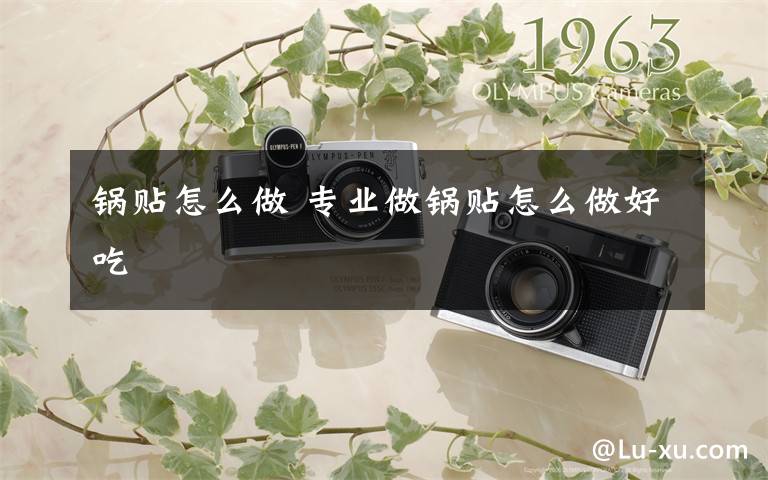 锅贴怎么做 专业做锅贴怎么做好吃
