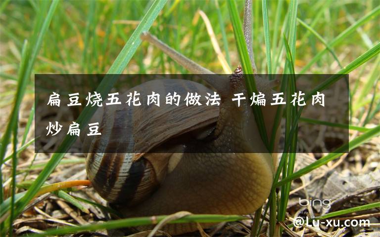 扁豆烧五花肉的做法 干煸五花肉炒扁豆
