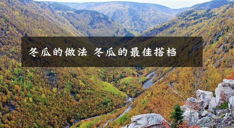 冬瓜的做法 冬瓜的最佳搭档
