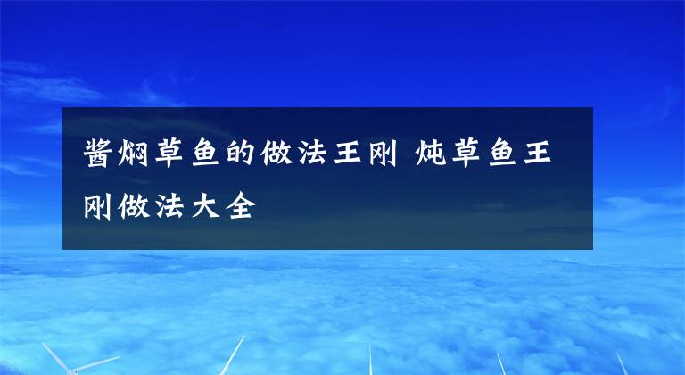 酱焖草鱼的做法王刚 炖草鱼王刚做法大全