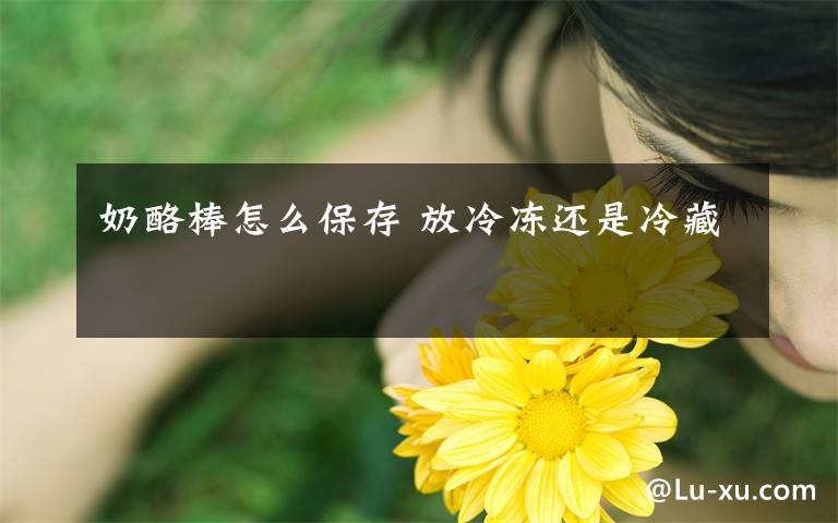 奶酪棒怎么保存 放冷冻还是冷藏