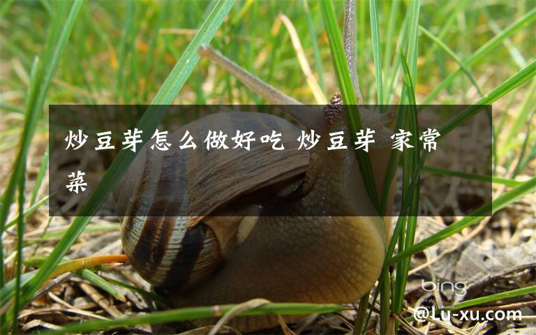 炒豆芽怎么做好吃 炒豆芽 家常菜