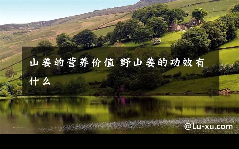 山姜的营养价值 野山姜的功效有什么