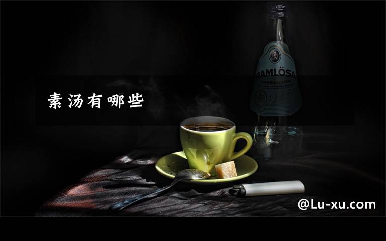 素汤有哪些