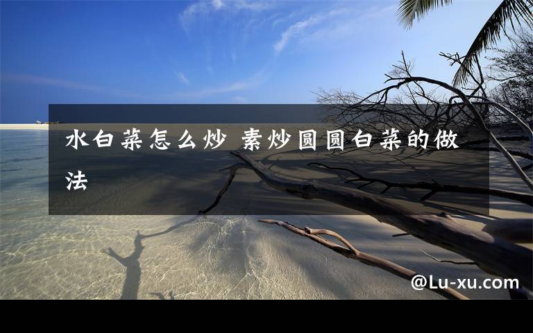 水白菜怎么炒 素炒圆圆白菜的做法