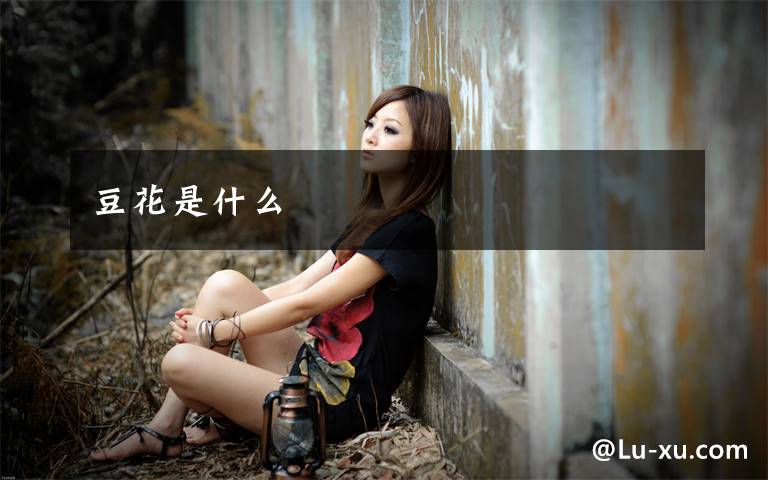 豆花是什么