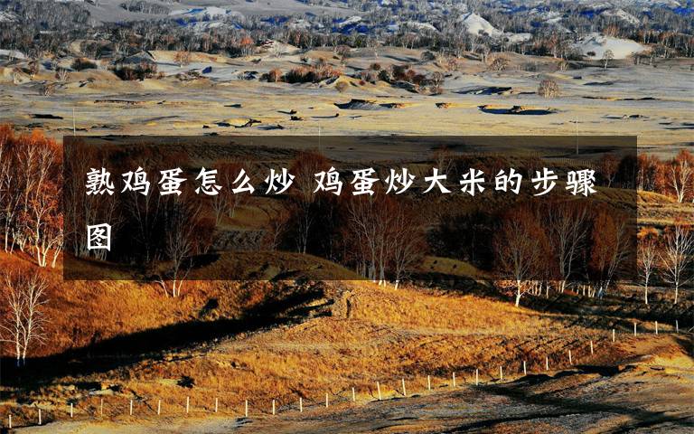 熟鸡蛋怎么炒 鸡蛋炒大米的步骤图