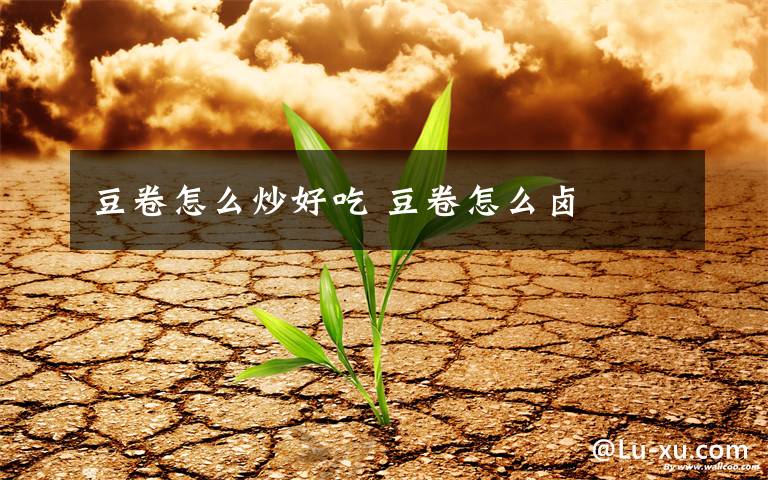 豆卷怎么炒好吃 豆卷怎么卤