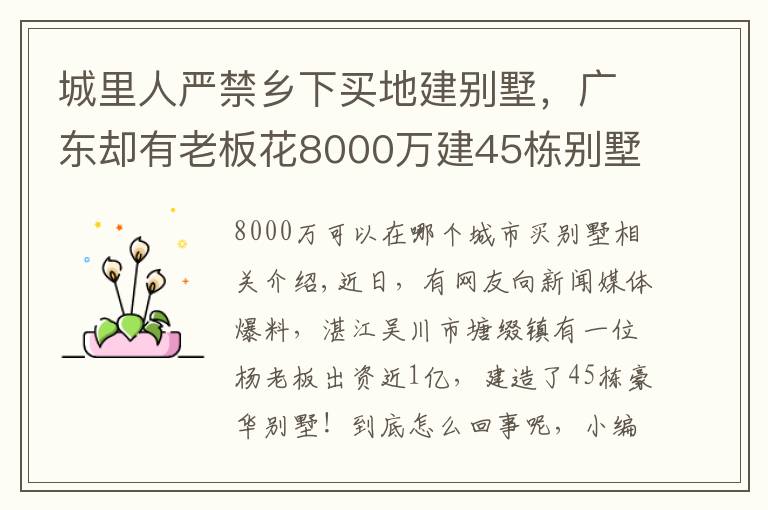城里人严禁乡下买地建别墅,广东却有老板花8000万建45栋别墅