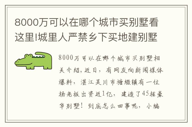 8000万可以在哪个城市买别墅看这里!城里人严禁乡下买地建别墅，广东却有老板花8000万建45栋别墅