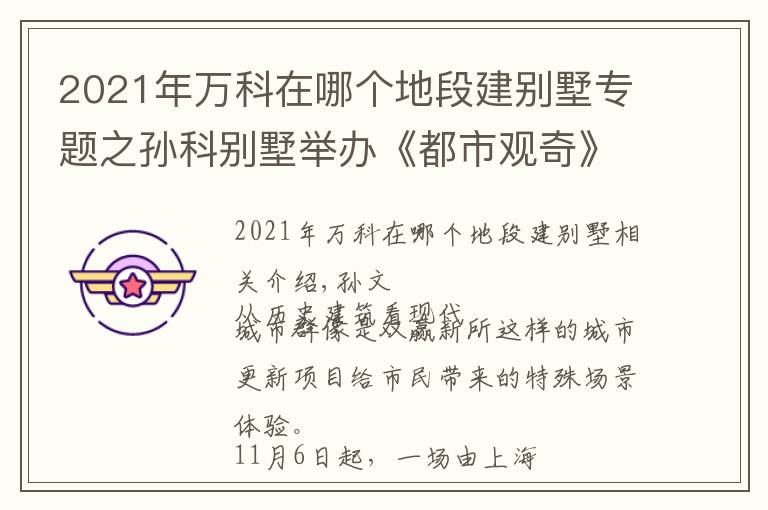 2021年万科在哪个地段建别墅专题之孙科别墅举办《都市观奇》展
