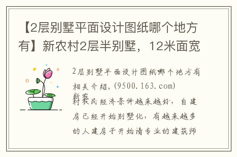 【2层别墅平面设计图纸哪个地方有】新农村2层半别墅，12米面宽，两种平面图方案哪个好？